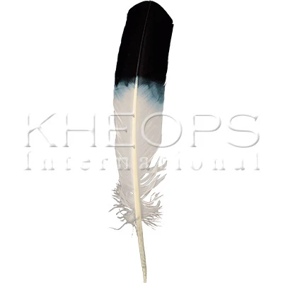 Smudge Feathers - Image 4